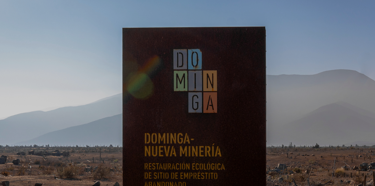 Freno judicial a Dominga: Corte de Antofagasta detiene ejecución de fallo ambiental