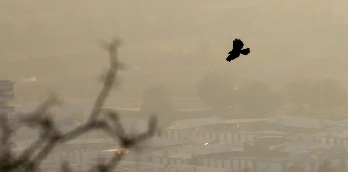 Alerta Ambiental para 17 comunas de O'Higgins este domingo