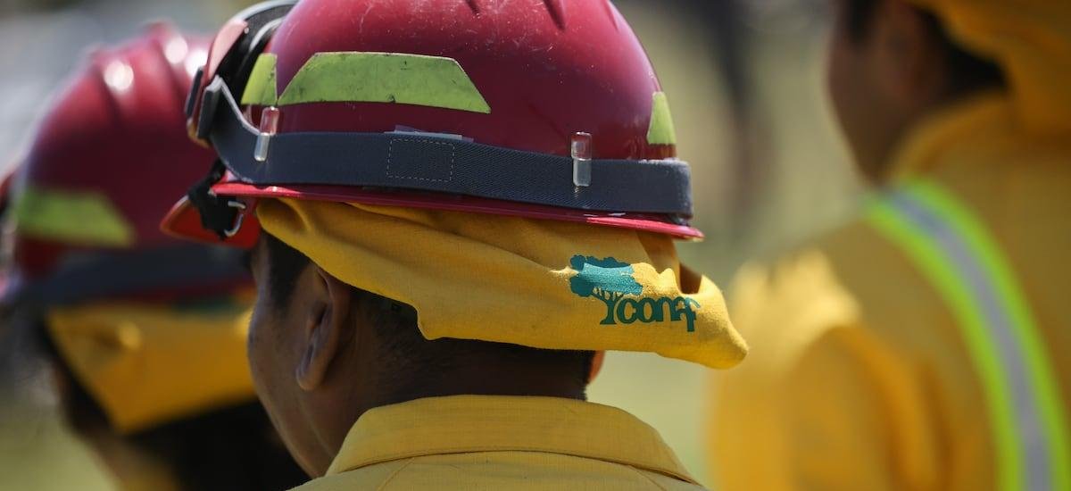 La Araucanía: declaran alerta roja en Cholchol por incendio forestal cercano a sectores habitados - La Tercera