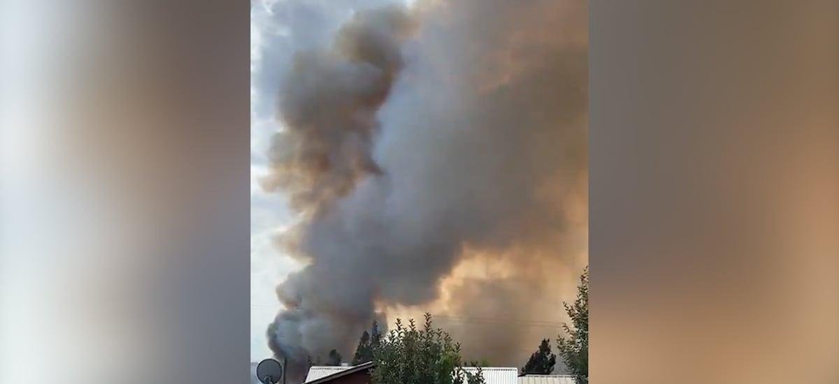 Muere adulta mayor en medio de incendio forestal de Melipilla: fue encontrada durante la remoción de escombros