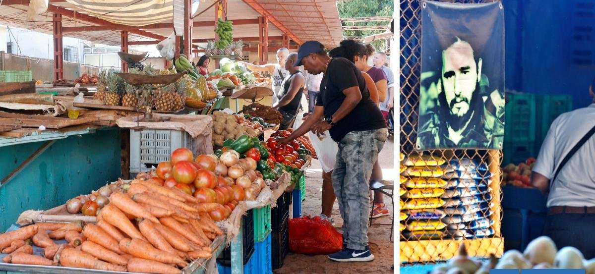 Crisis de combustible en Cuba tiene en vilo a la agricultura de la isla: FAO advierte efectos "graves"