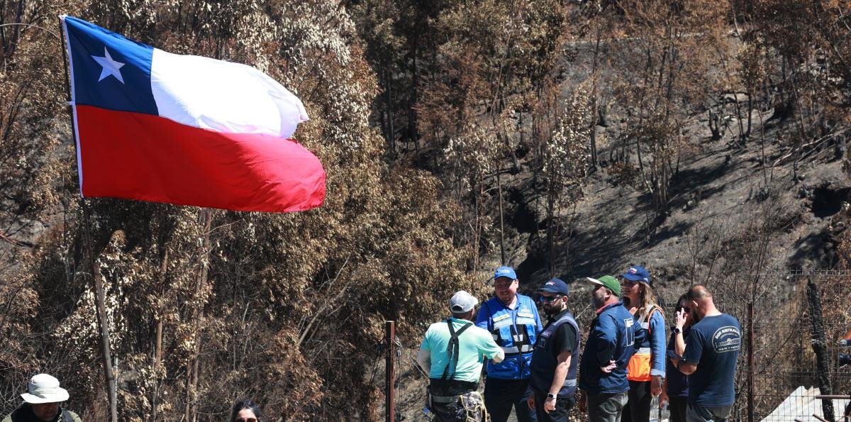 [Audio] "No se trata de vivir en el desierto": Experto abogó por equilibrio entre urbanización y arbolado