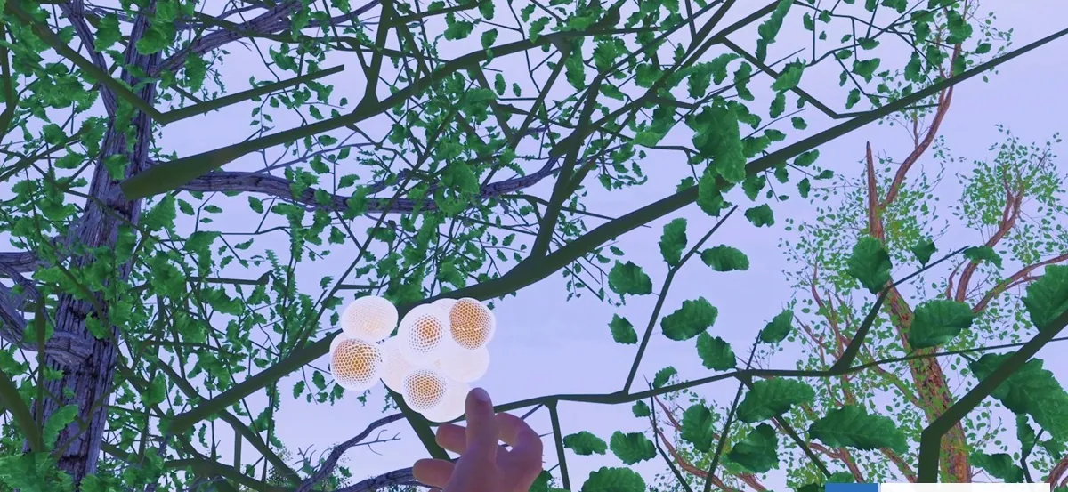 Brasil, Suiza y Chile se unen en Fungi Cosmology: los hongos y su fundamental papel en los ecosistemas