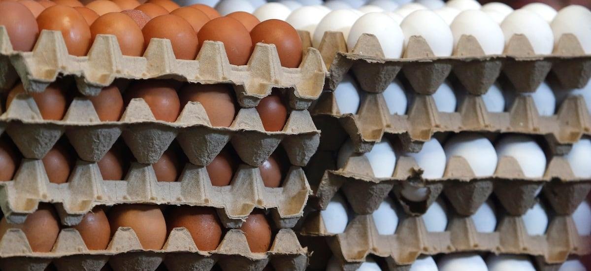 Chile es el tercer consumidor de los huevos exportados por Brasil