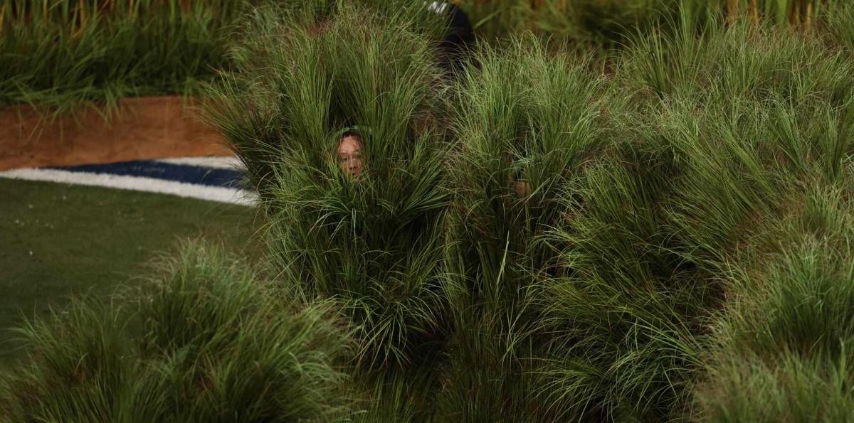 Una cifra considerable: ¿Cuánto ganaron las personas que se disfrazaron de plantas en el show de Bad Bunny?