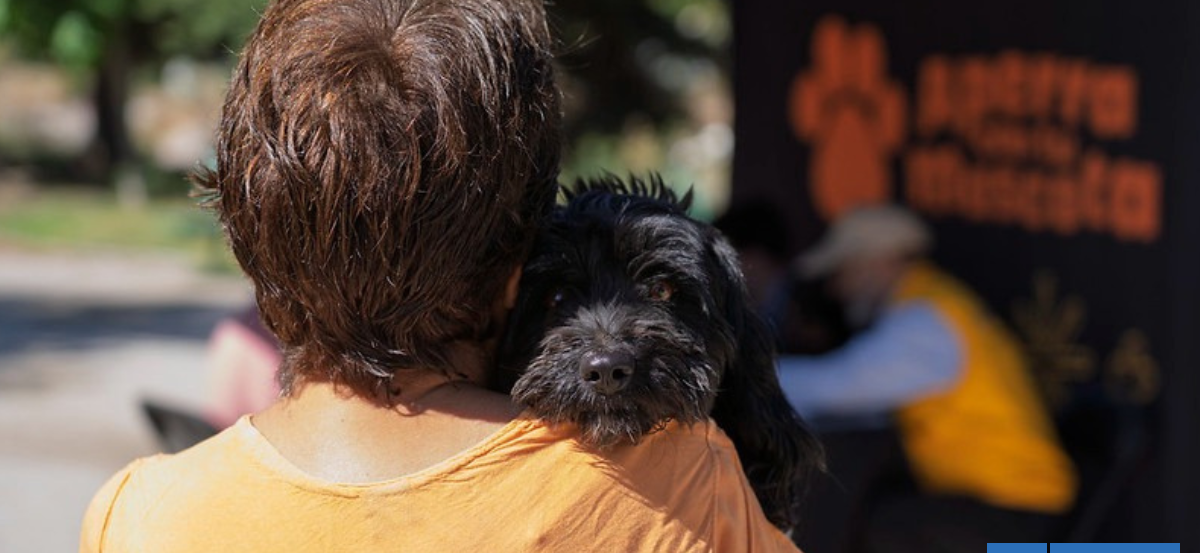 Desalojo de Toma Dignidad: crean página de adopción para que mascotas abandonadas encuentren un hogar