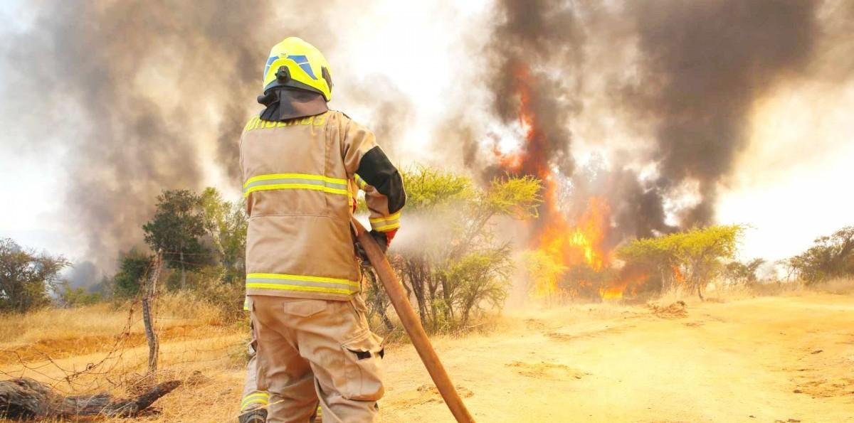Senapred solicita evacuar tres sectores de Melipilla por incendio forestal: Está "cercano a sectores habitados"
