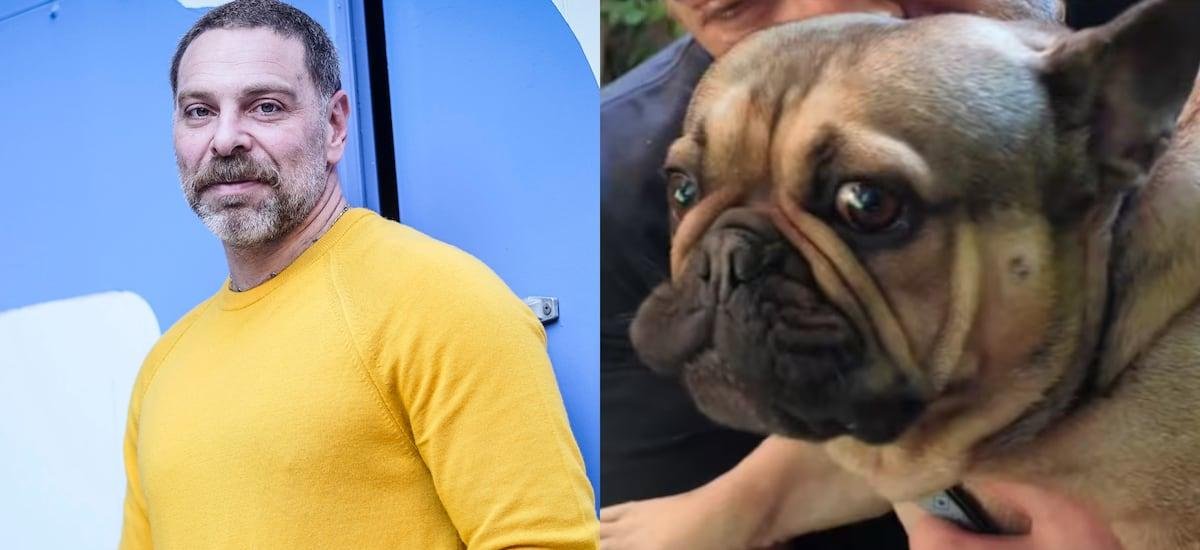 En coma inducido y con ventilación mecánica: el inesperado problema de salud que complica a perrito de Neme, “Frodo” - La Cuarta