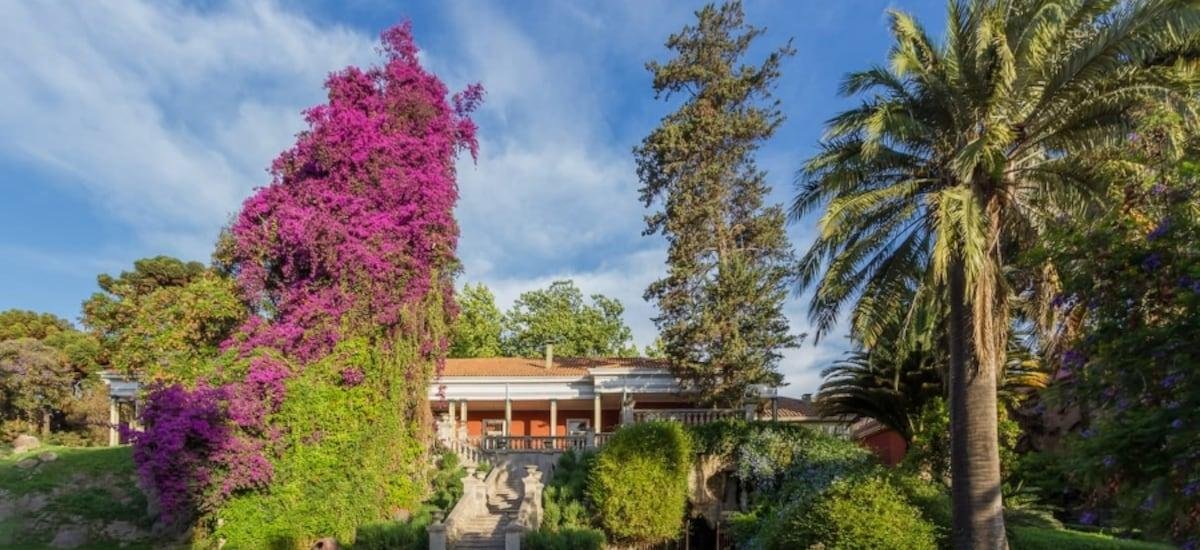 Viña Santa Rita reporta pérdidas por casi $6 mil millones en medio de caída global de consumo de vino - La Tercera