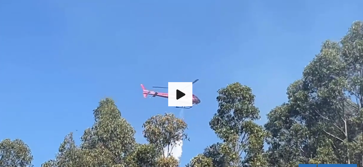 2,5 hectáreas de vegetación destruidas dejó incendio forestal en cerro Kunstmann de Valdivia
