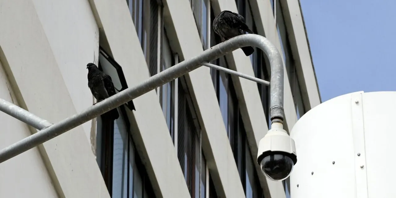 Contraloría detectó deficiencias en sistemas de televigilancia en municipios de RM y Biobío