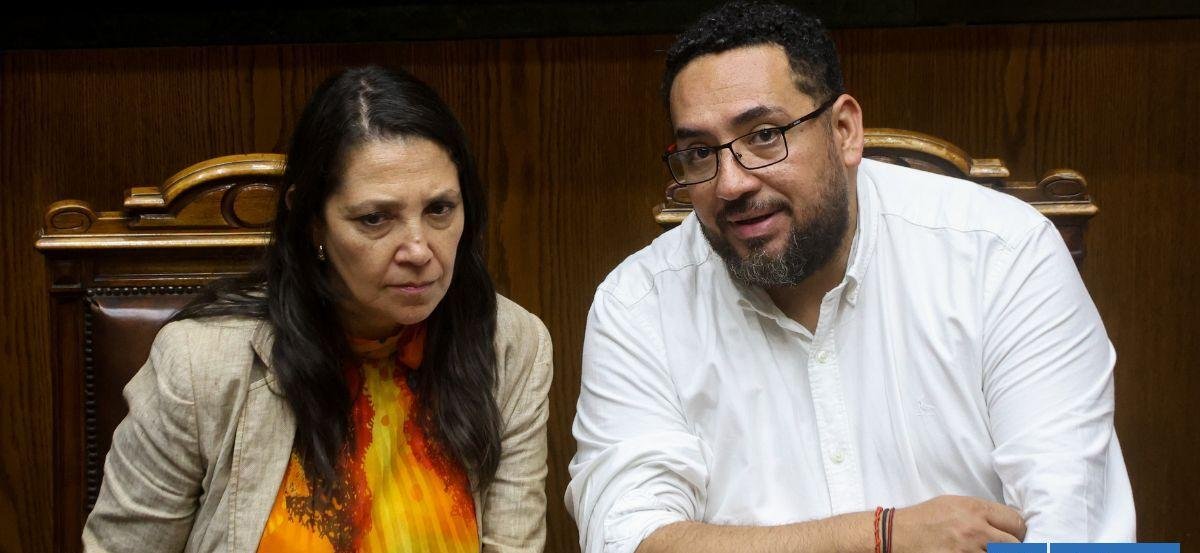 Sala Cuna y FES: las últimas reformas que se juega el gobierno en el Congreso