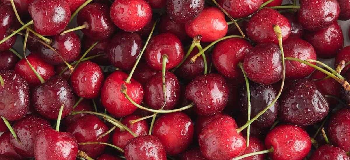 Temporada de cerezas: precios de la fruta roja caen por descalce entre cosecha y Año Nuevo chino - La Tercera