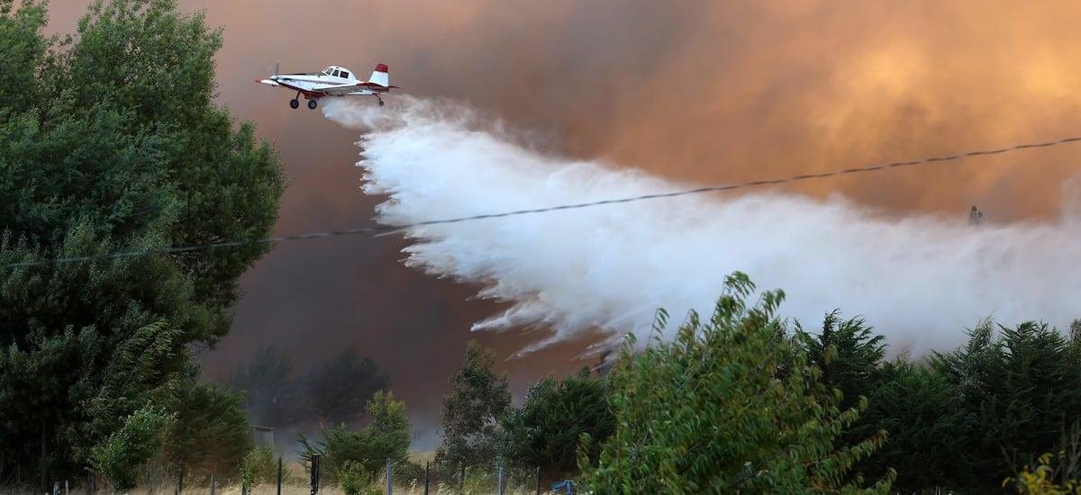 Conaf reporta 24 incendios forestales en combate y alertas rojas en Ñuble y Biobío - La Tercera