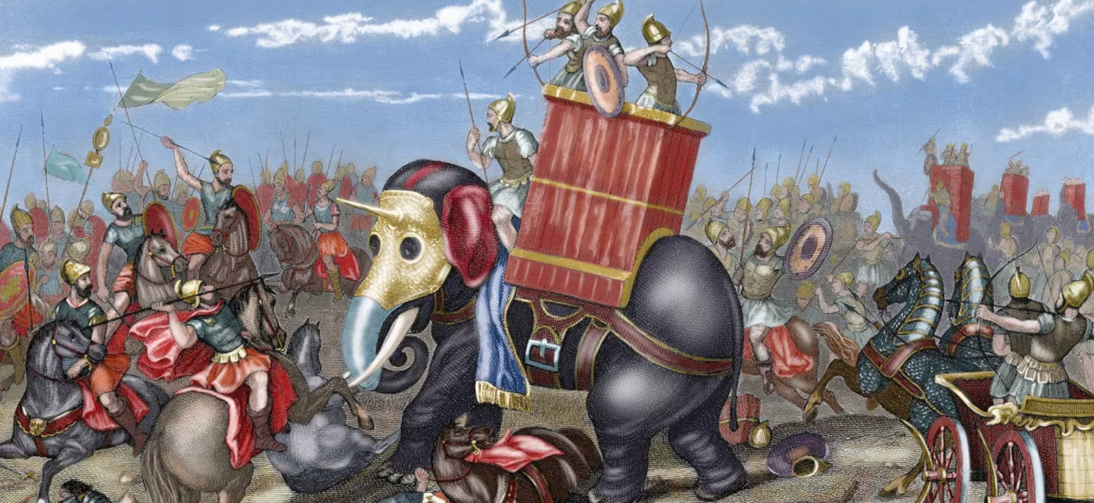 ¿Los elefantes eran usados como “máquinas de guerra” contra la Antigua Roma? Hallazgo de hueso de 2.200 años daría pistas de ello