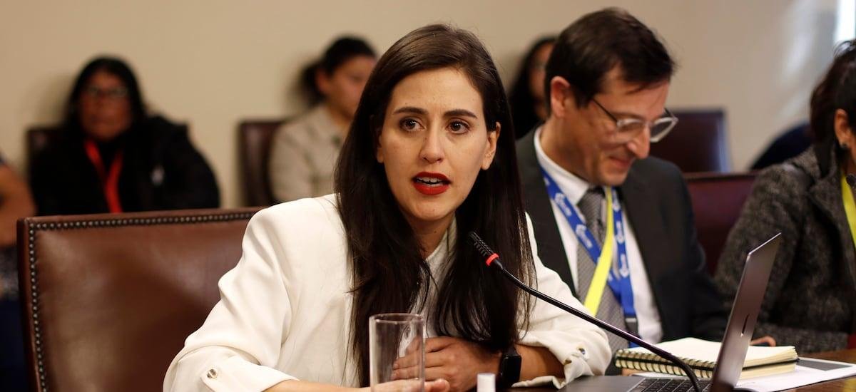 Megaincendio de 2024: Ripamonti defiende gestión de ayudas del municipio tras observaciones de Contraloría