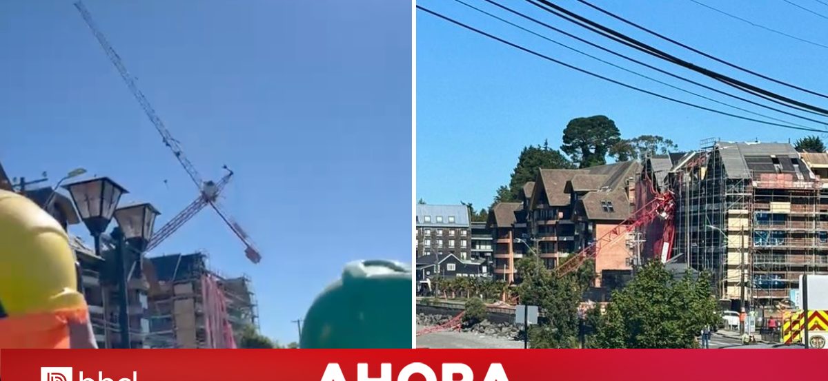 VIDEO | Grúa se desploma en sector Costanera de Puerto Varas