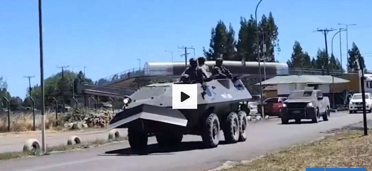 Con blindados, drones y el Ejército incautan plantación de marihuana en Ercilla