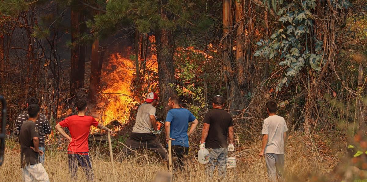 Encuesta Ipsos sobre incendios forestales: 72% cree que fueron intencionales