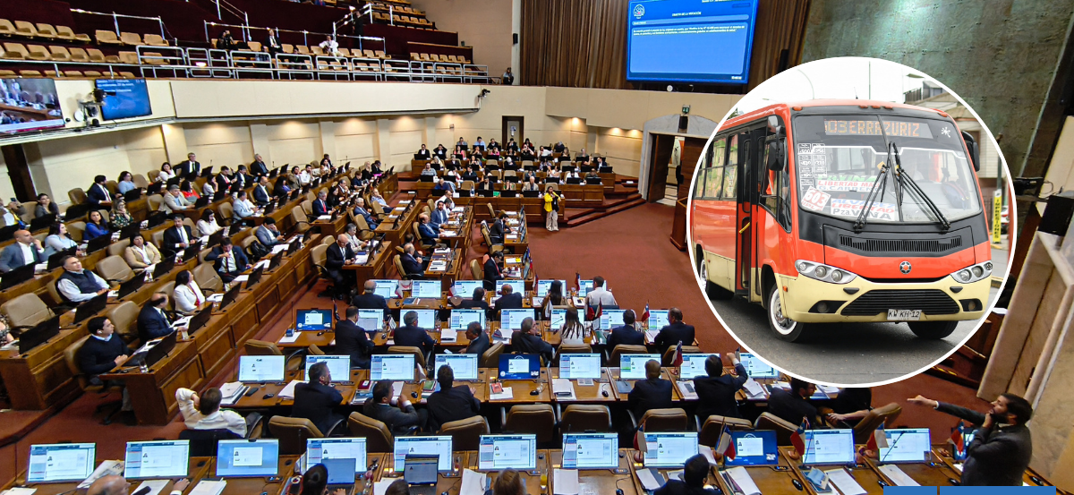 Cámara aprueba Ley Alberto y es despachada al Senado: obliga narcotest y alcotest a choferes de micros