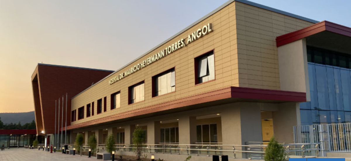 Por agresiones y sobrecarga laboral: funcionarios de Salud Mental se movilizan en Hospital de Angol