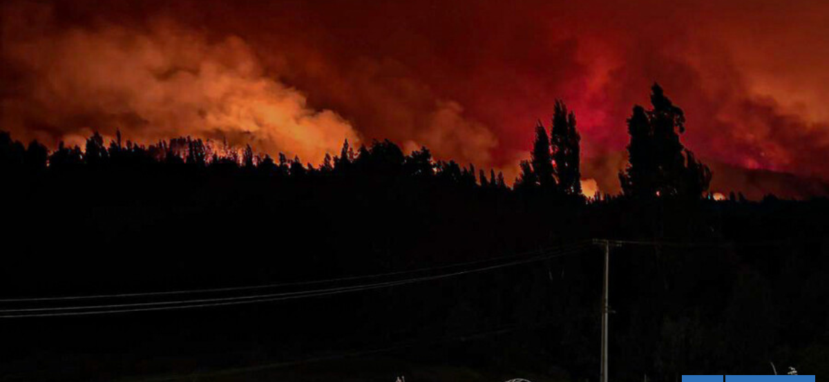 Desde Senapred lamentan incendios en provincia de Concepción: "Van casi 3 mil hectáreas consumidas"