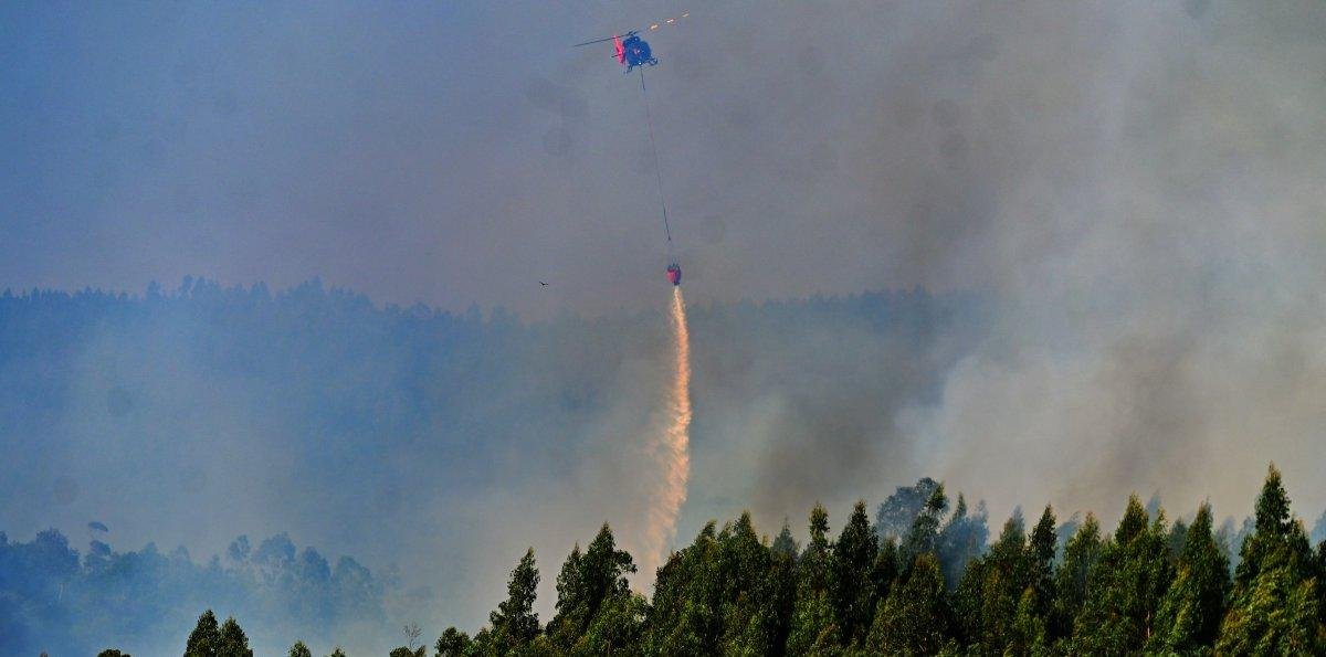Incendio en Vichuquén suma 380 hectáreas consumidas