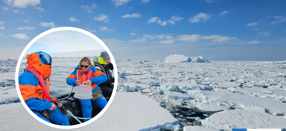 Una línea de agua alrededor de la Antártica