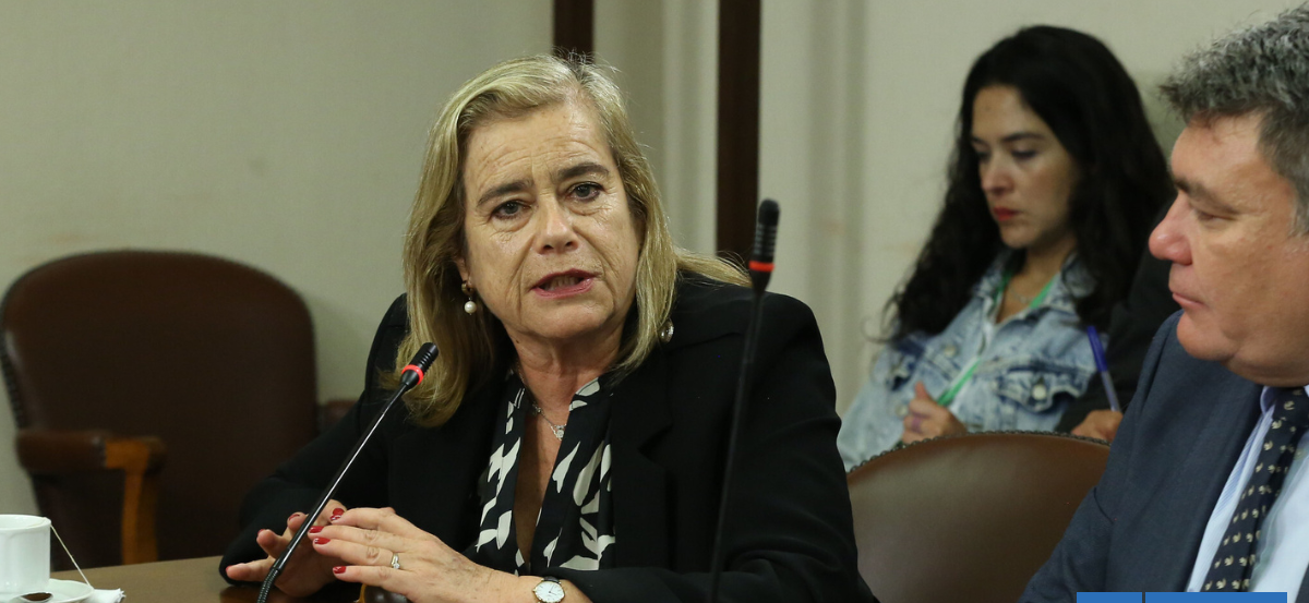 Diputados UDI anuncian catastro por posibles "amarres" del Gobierno en Subsecretaría de las FFAA