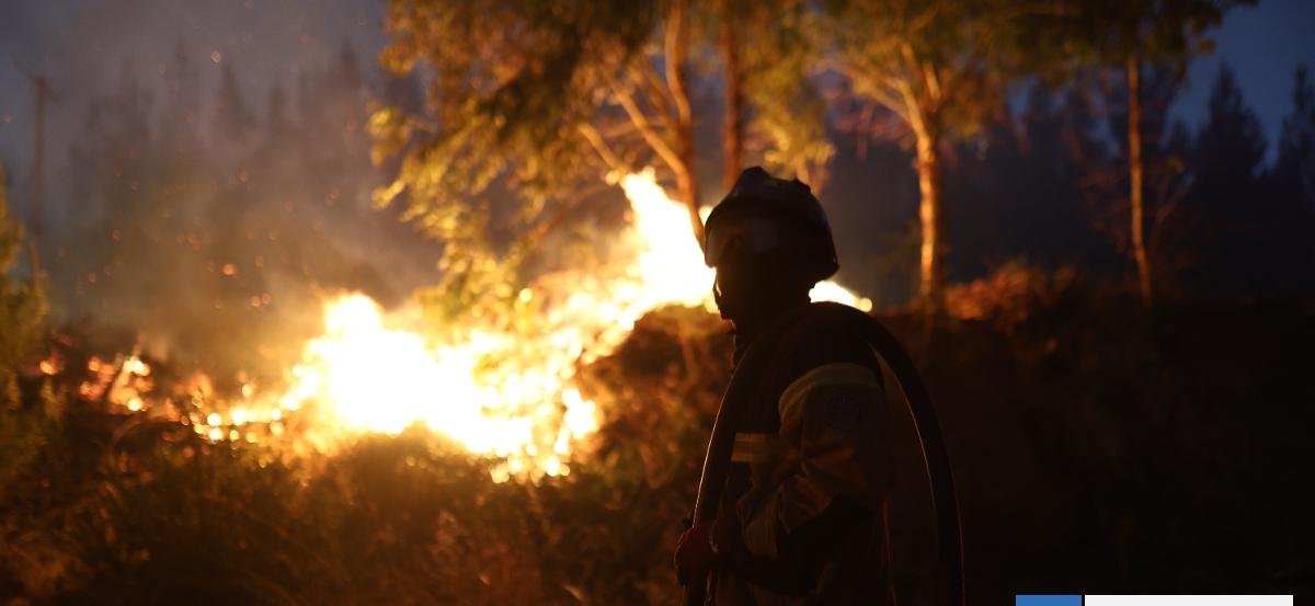 Estudio confirma que el cambio climático triplicó la probabilidad de "clima de incendios" en Chile