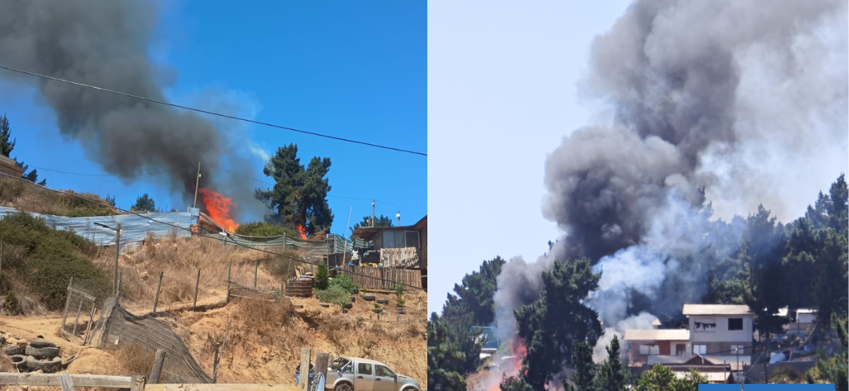 Incendio afecta a viviendas del sector de Reñaca Alto en Viña del Mar