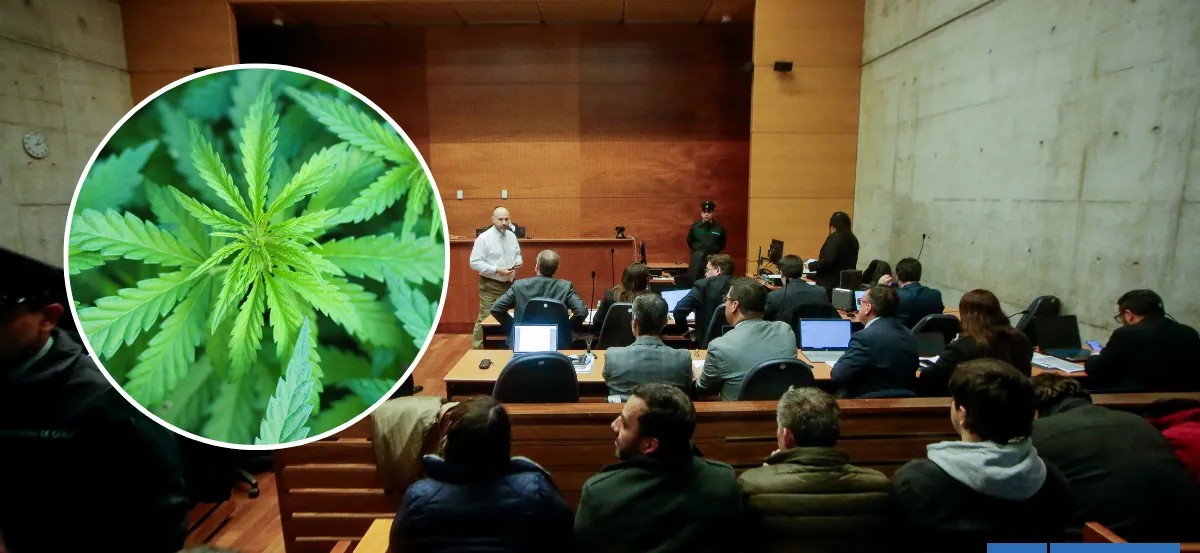 Presentan querella para indagar inicio del caso Imperio Ámsterdam: acusan que denuncia fue inventada
