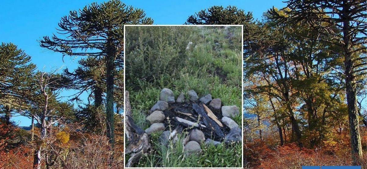 Parque Nacional Conguillio: reforzarán despliegue de guardaparques por fogatas y fecas humanas