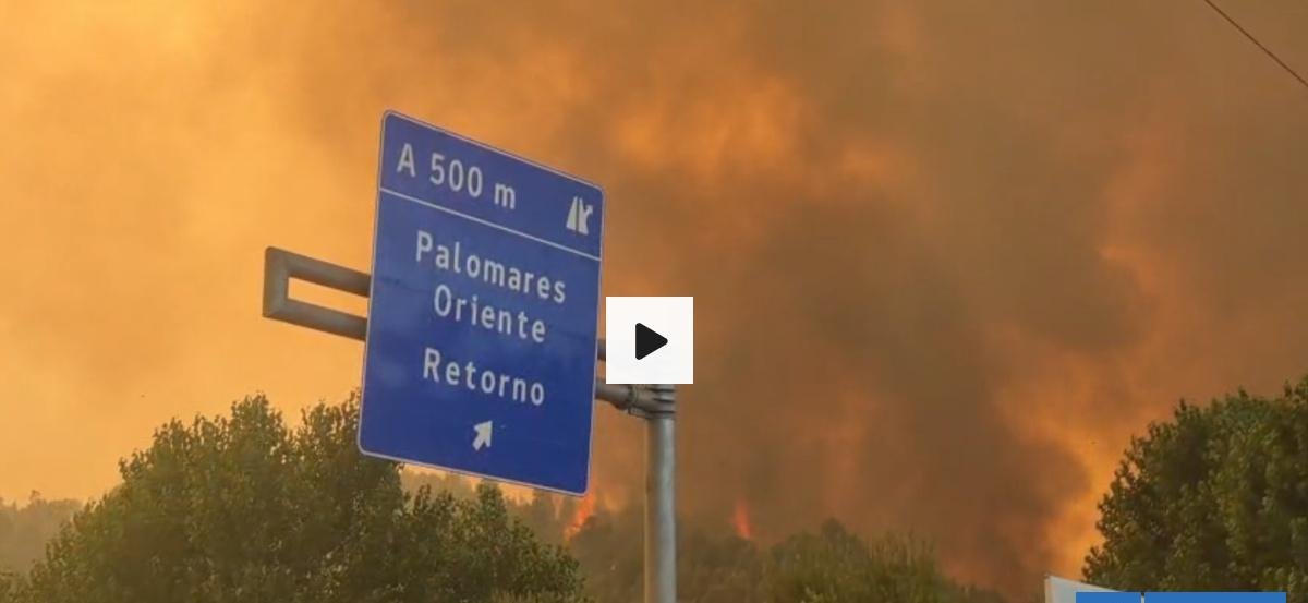 Fuego llega a calle 21 de mayo en sector Palomares de Concepción: vecinos intentan salvar sus casas