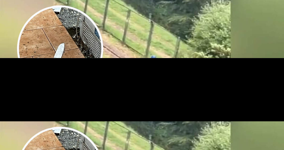 Delincuentes roban joyas y caja fuerte de casa en Valdivia: intimidaron con cuchillos a los dueños