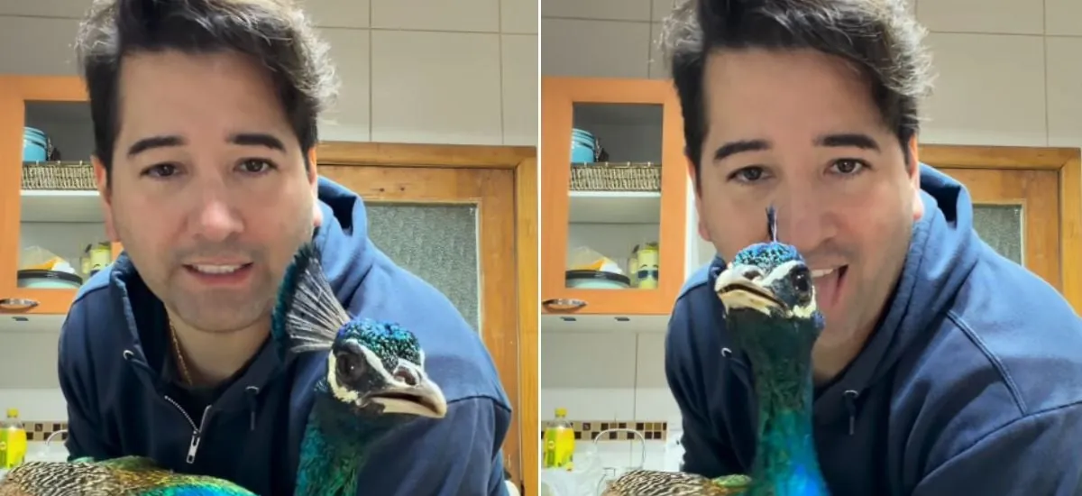 Lo que le hizo al ave no pasó desapercibido: Javier Olivares desata ola de comentarios por video con un pavo real