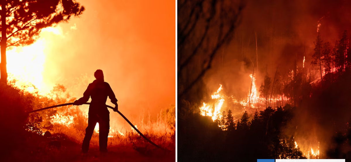 Argentina decreta emergencia por incendios en la Patagonia: hasta 45.000 hectáreas quemadas en Chubut