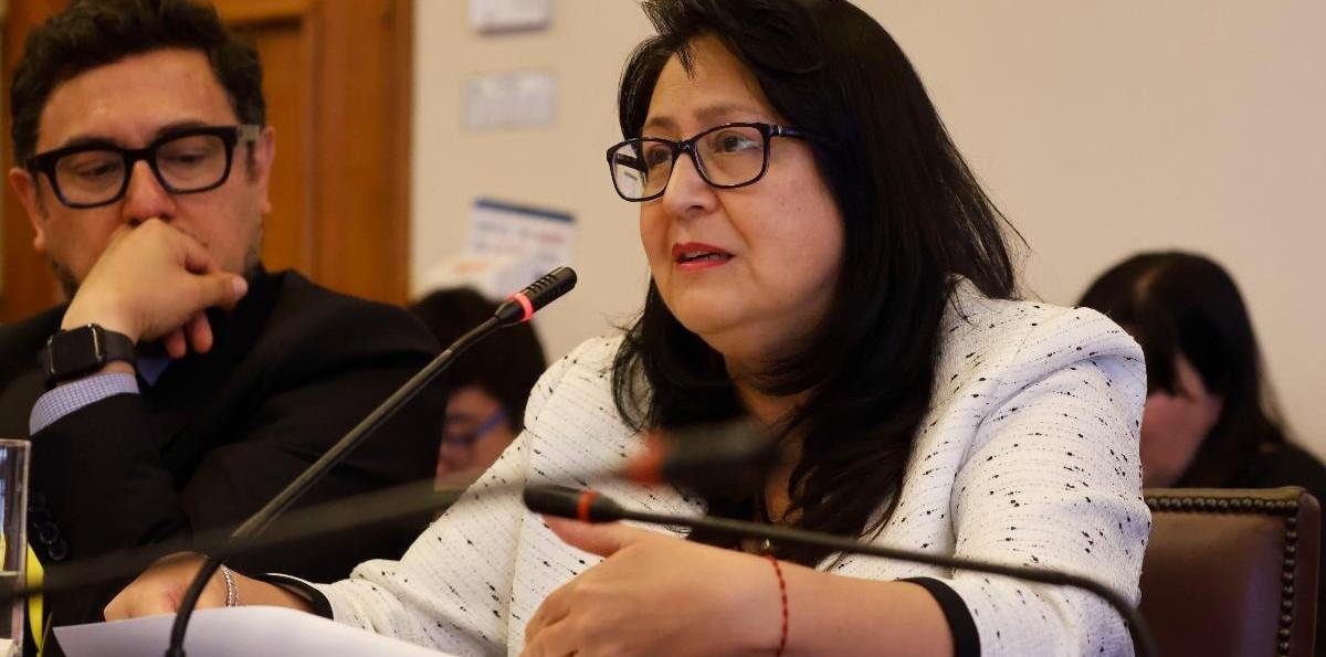 Corte de Apelaciones acoge recurso contra Dorothy Pérez tras exigir datos de niños trans al Minsal