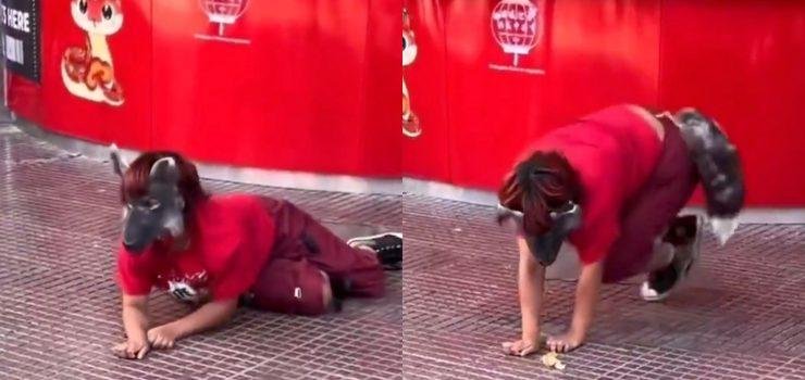 Máscaras, escuelas para aprender y cuatro patas: Todo lo que tienes que saber de los therans, la moda viral en el mundo que ya empieza a “ladrar” en Chile