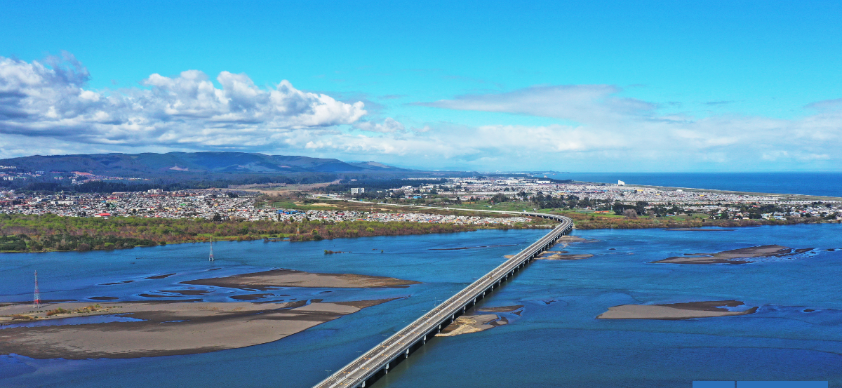 Exseremi del MOP y Puente Industrial: Peaje no debió ser del 100% y Estado debió subsidiar diferencia
