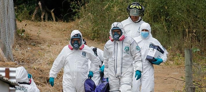 Fiscal no descarta crimen organizado por cuerpos encontrados en San Vicente: Uno está descuartizado y otro calcinado