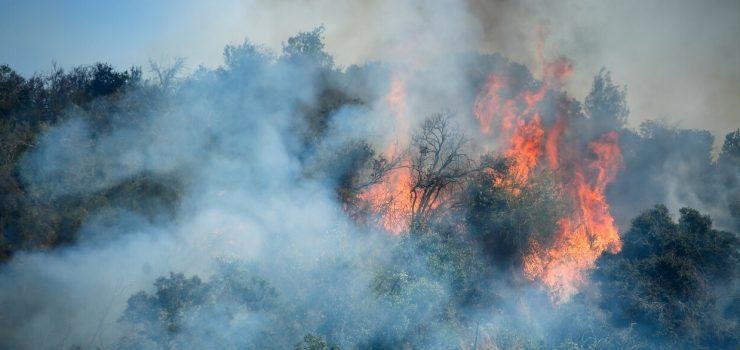 Avión que combatía incendio forestal capota en Lebu: Piloto fue rescatado y trasladado a hospital