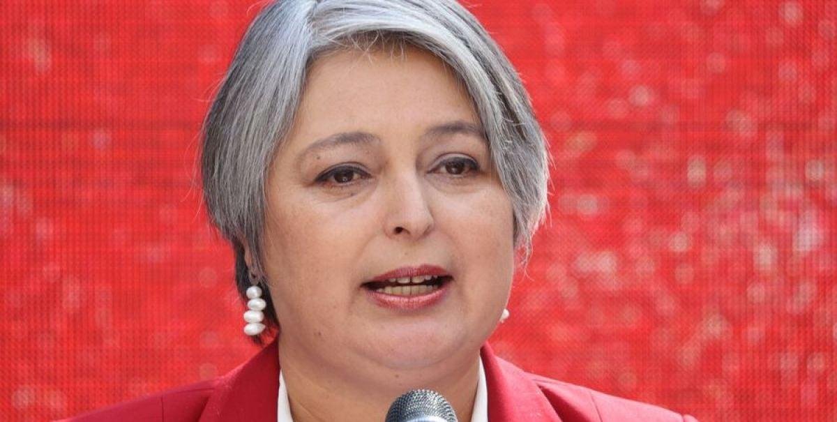 Jara pide "concentración" en comando tras dichos de Carmona: "Yo no soy la mamá de ningún dirigente"