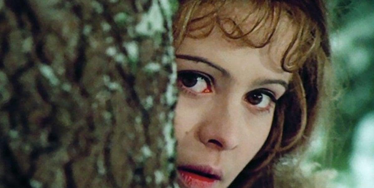 “Tres avellanas para Cenicienta”, el curioso cuento que millones de europeos ven cada Navidad