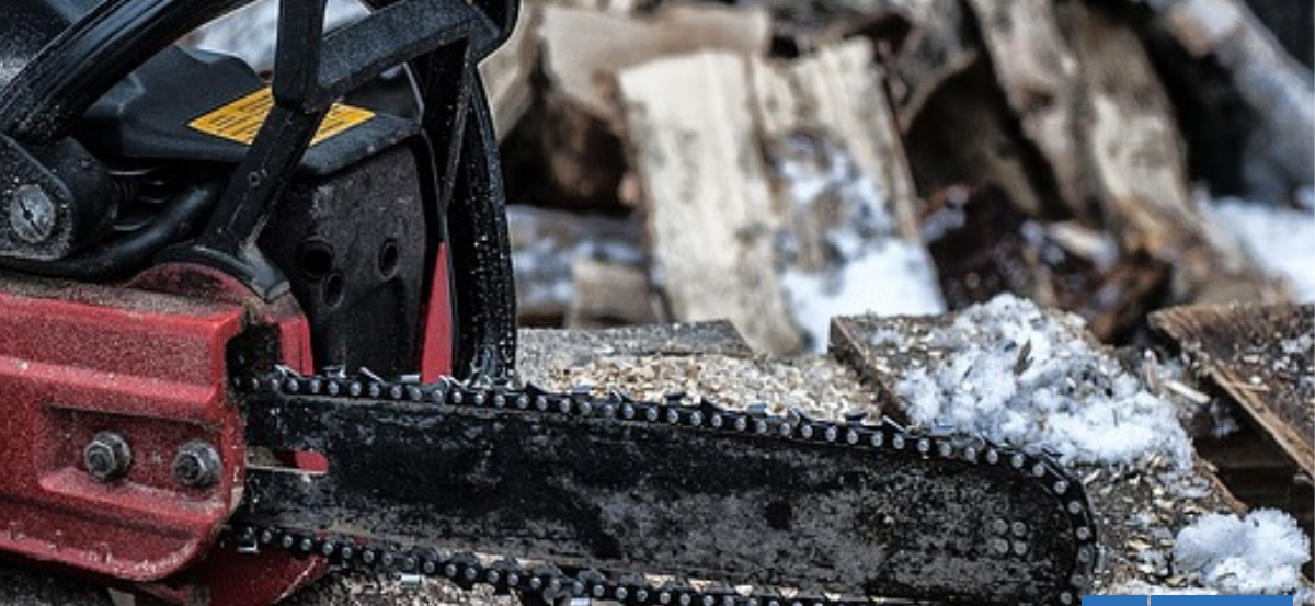 Detienen a hombre de 72 años por atacar a perro con una motosierra en Los Ángeles