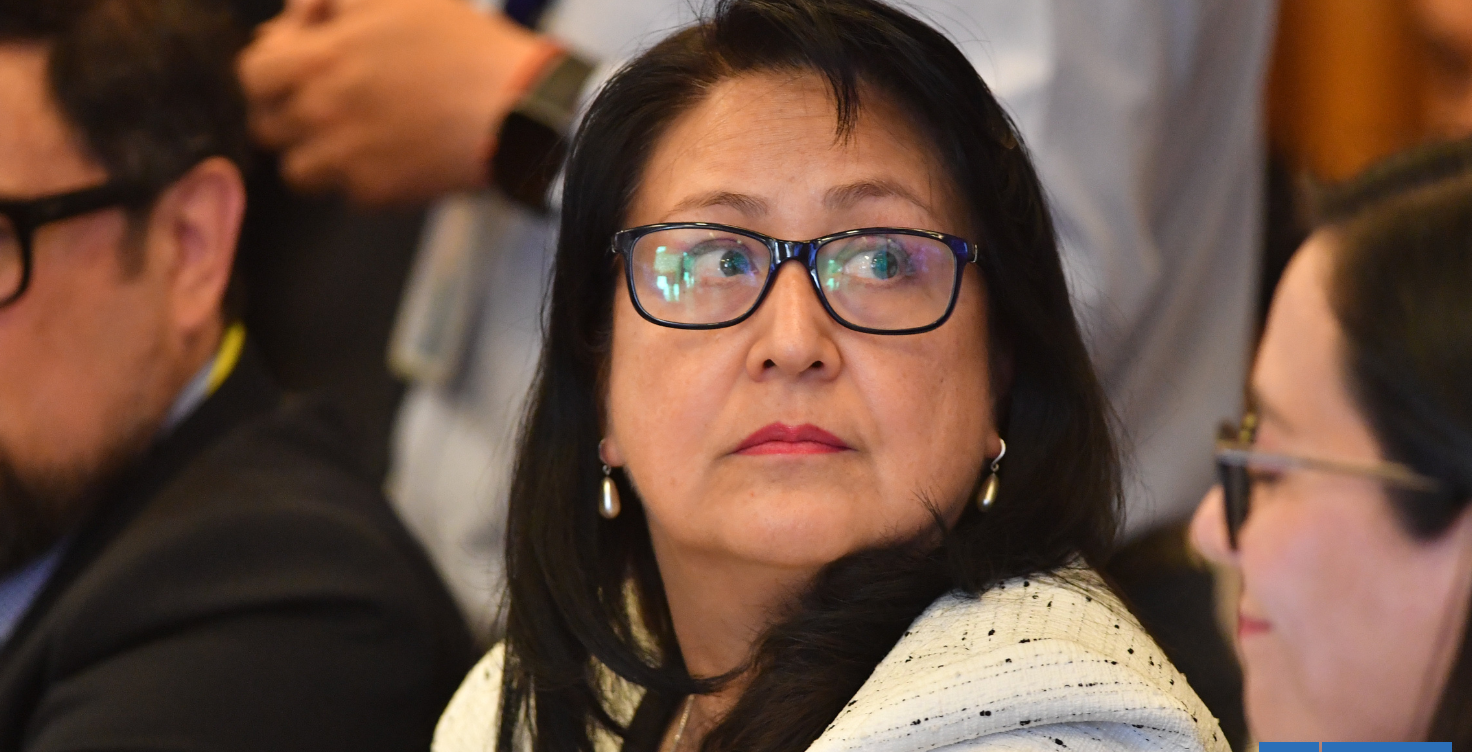 Corte acoge a trámite recurso contra Dorothy Pérez tras solicitud de datos de niños trans al Minsal