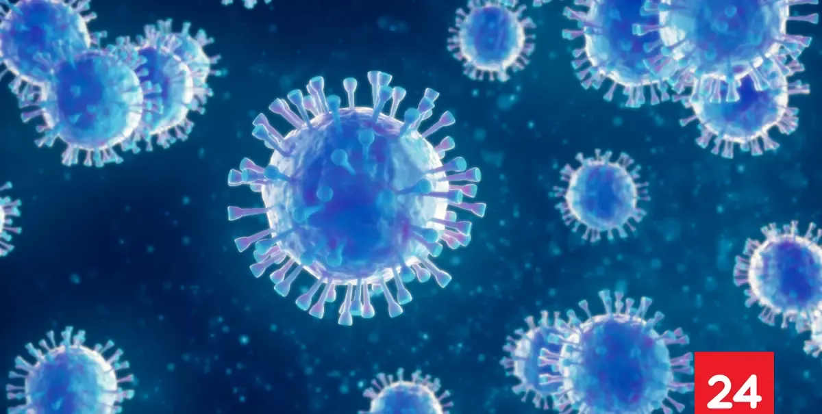 Estos son los 10 virus más peligrosos del mundo: el ébola ocupa el segundo lugar