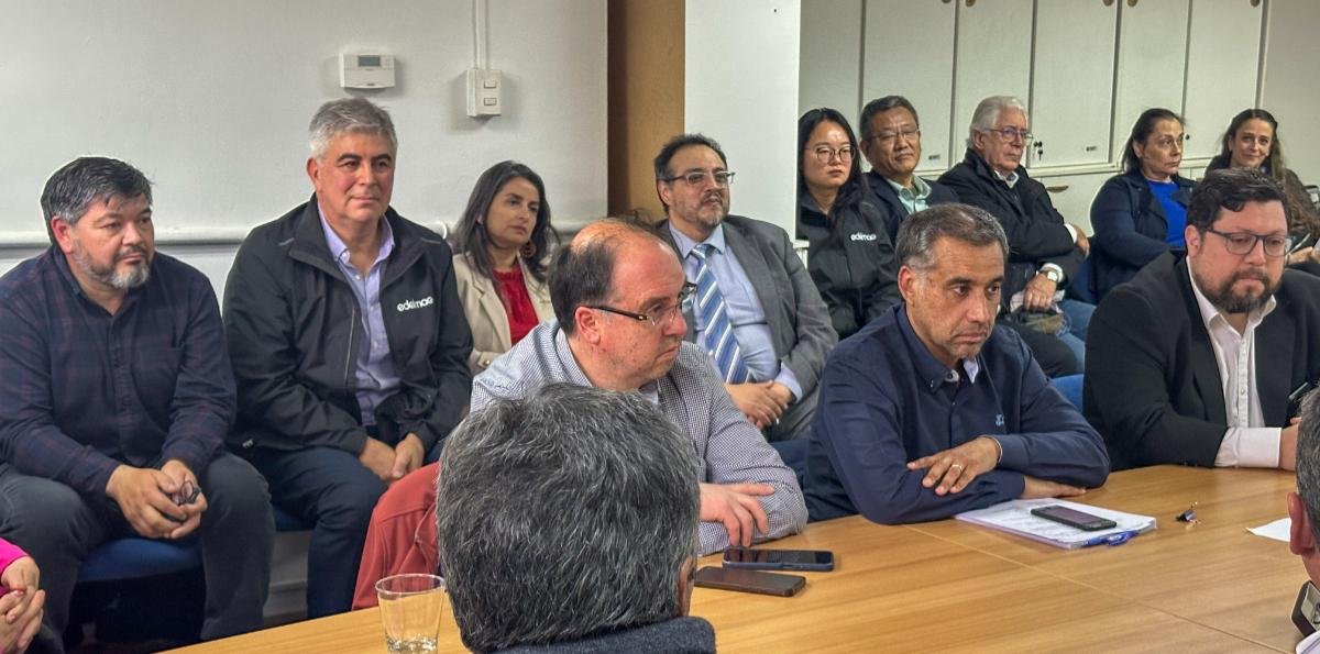 Puerto Williams avanza en autonomía energética tras aprobación de central generadora de EDELMAG