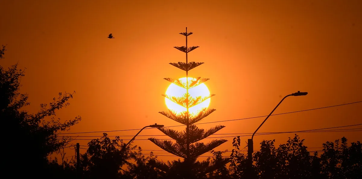ONU prevé calentamiento global de 2,6°C y advierte graves consecuencias: olas de calor, inundaciones e incendios forestales