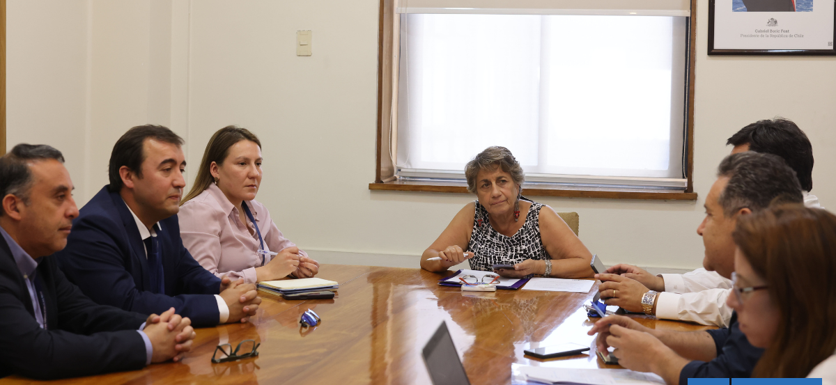 Autoridades analizan pavimentación de la Ruta CH-235 y proyecto de ruta insular Palena-Chiloé